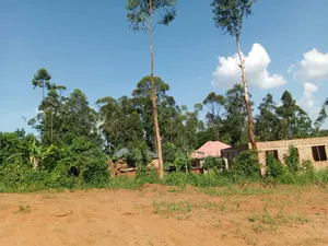 Bombo Road – Matugga: 4 Acres for Sale in Matugga – Kiryowa