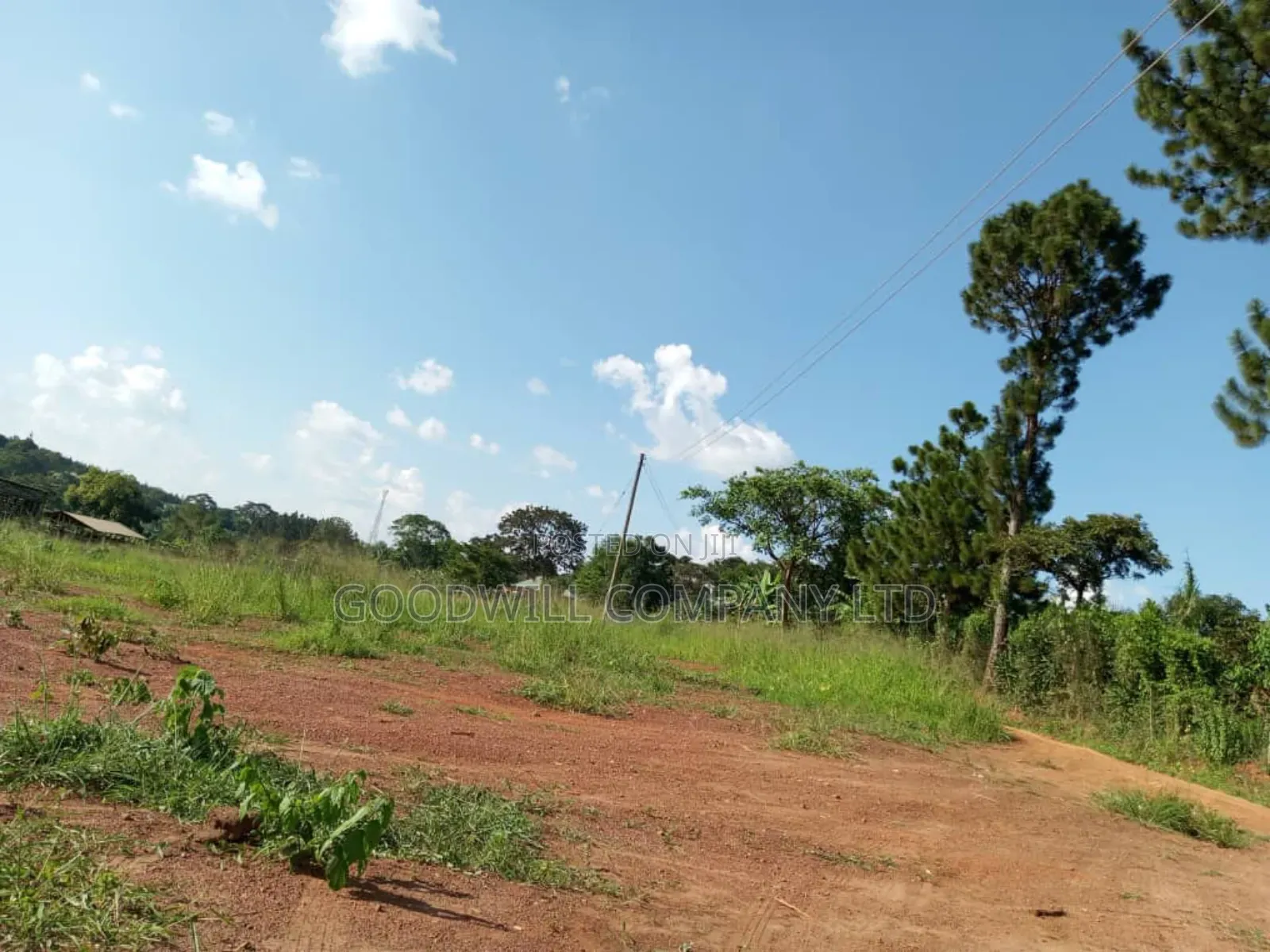 Bombo Road – Matugga: 4 Acres for Sale in Matugga – Kiryowa