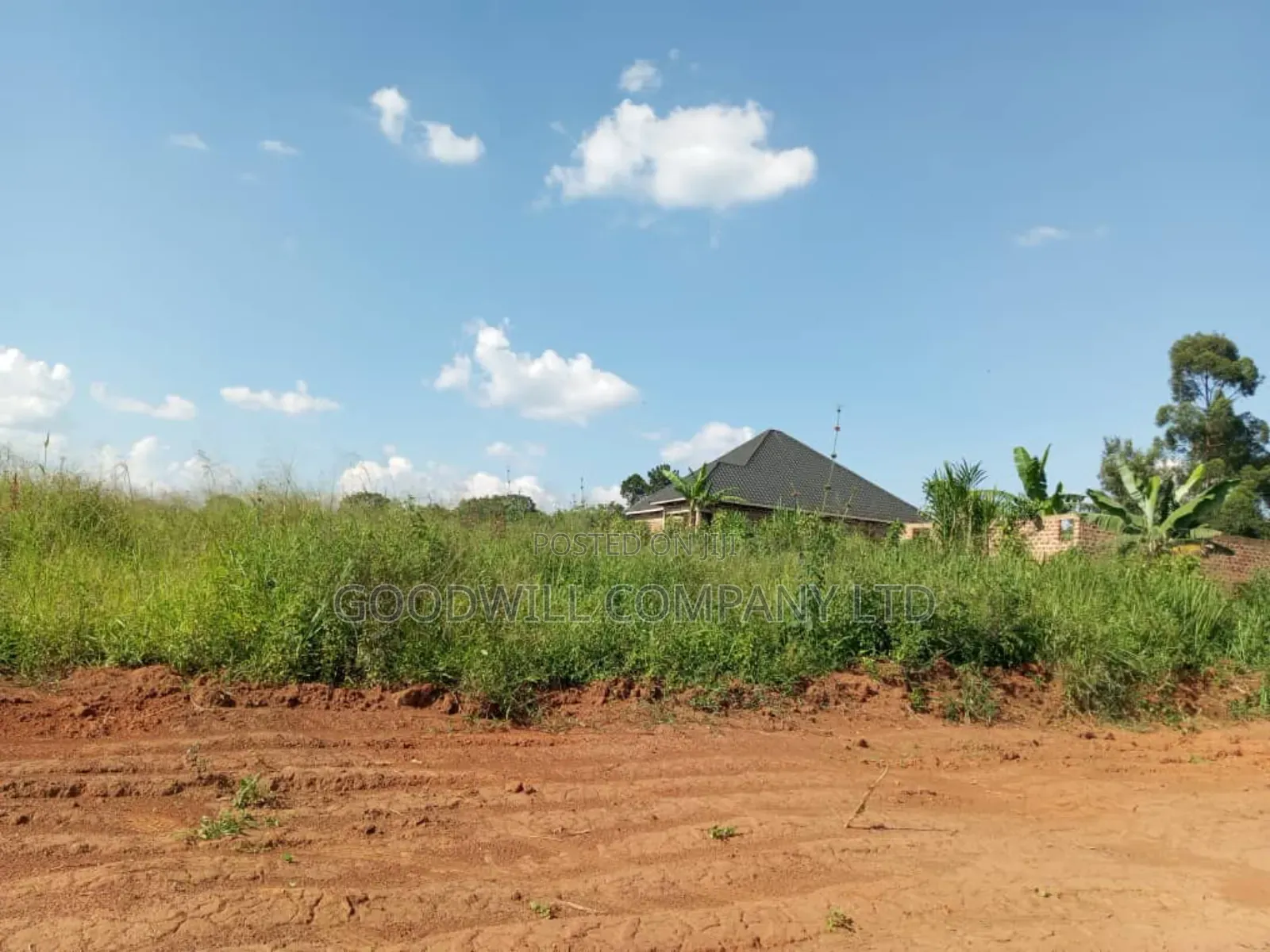 Bombo Road – Matugga: 4 Acres for Sale in Matugga – Kiryowa