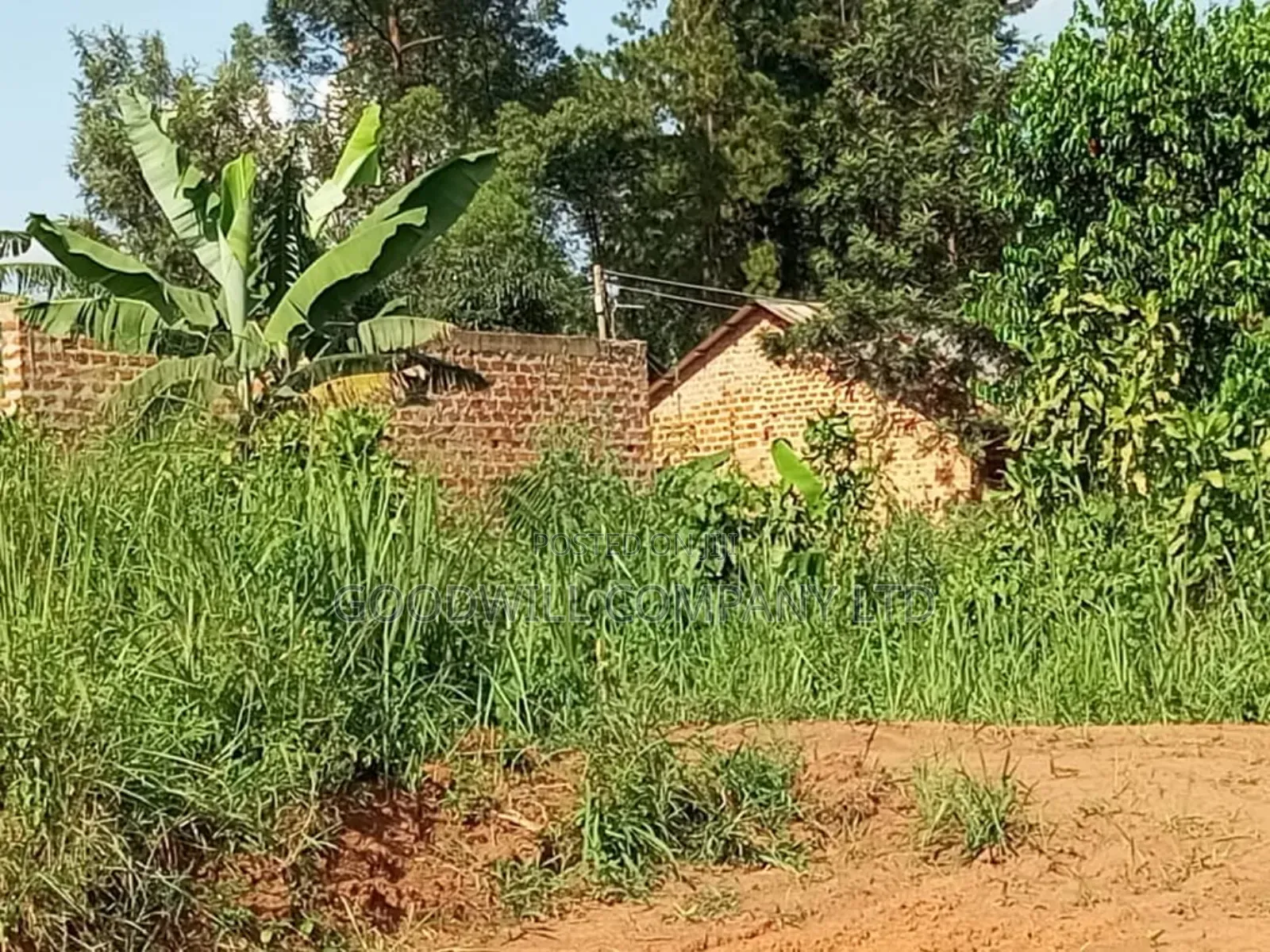 Bombo Road – Matugga: 4 Acres for Sale in Matugga – Kiryowa