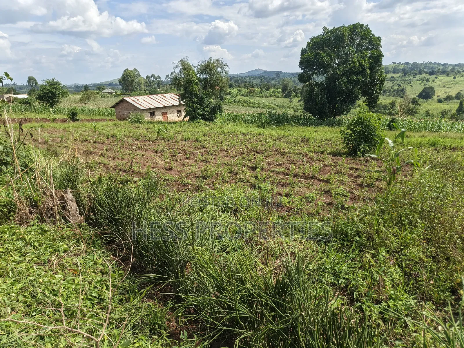 Agricultural Land on Sale