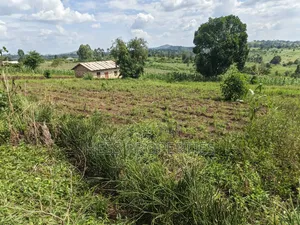 Agricultural Land on Sale