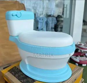 Baby Toilet Flash