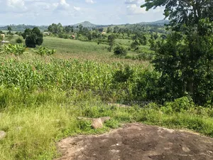 Agricultural Land on Sale