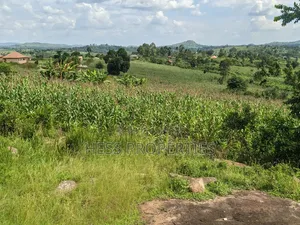 Agricultural Land on Sale