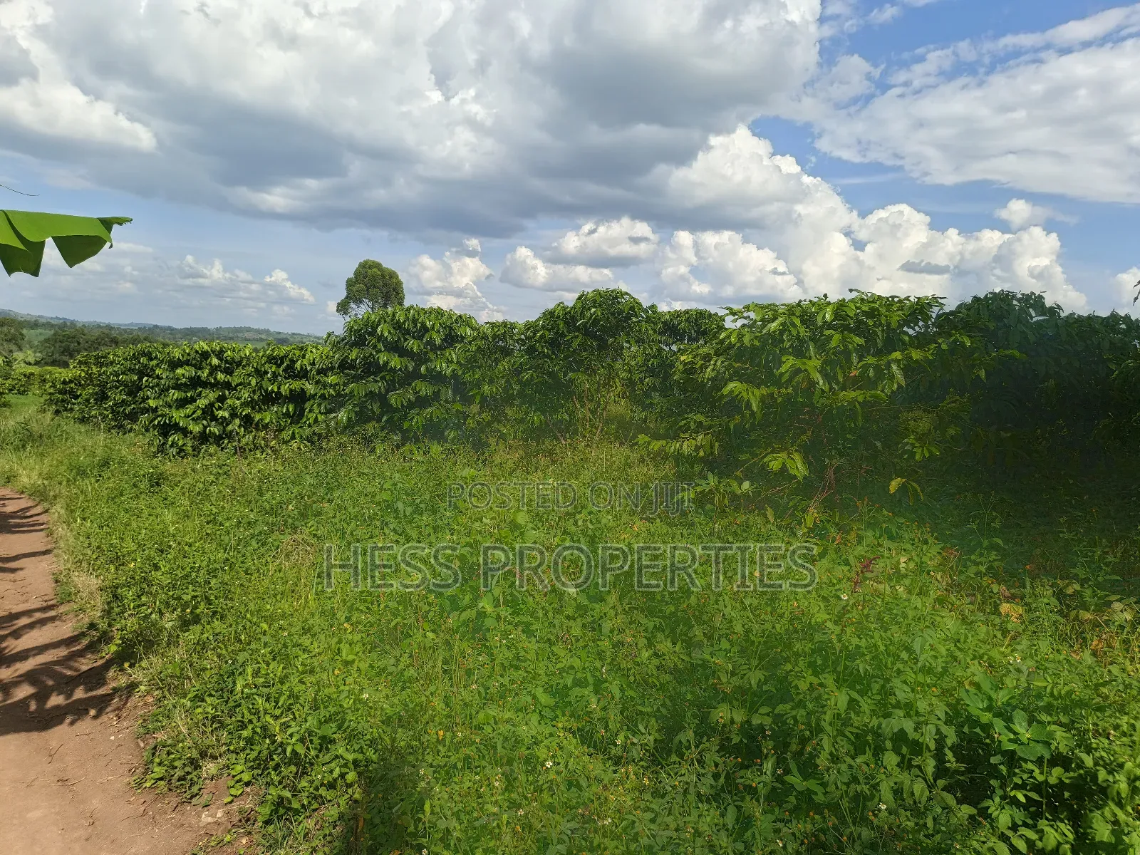 Agricultural Land on Sale