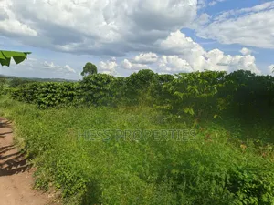 Agricultural Land on Sale
