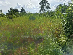 Agricultural Land on Sale