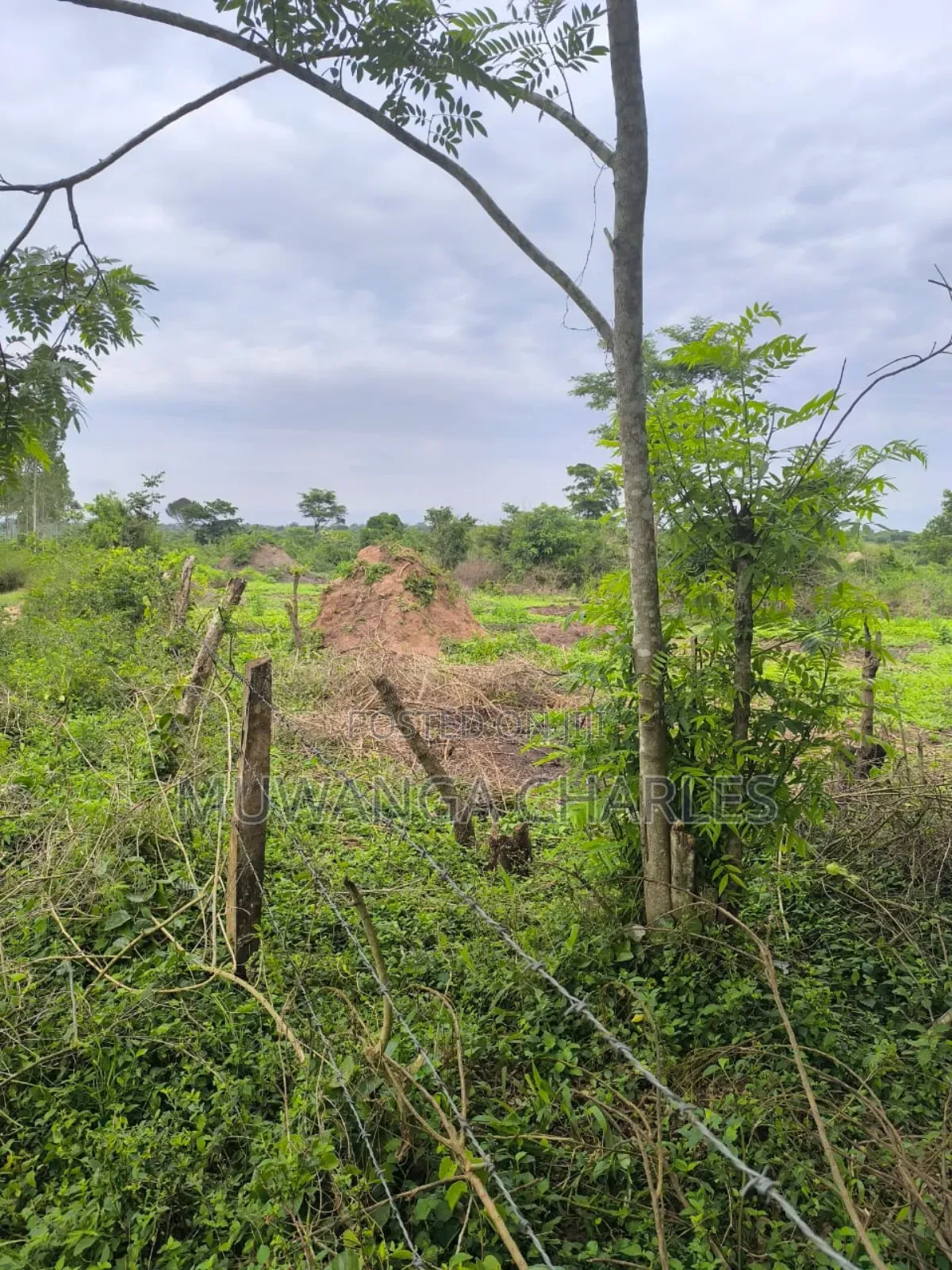 500acres Onon Sale in Nakasongola