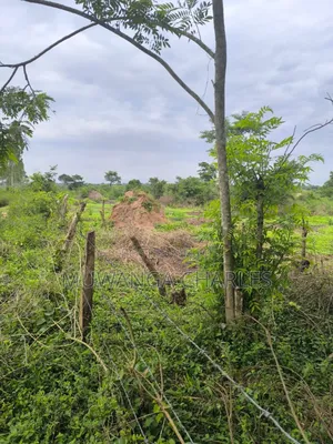 500acres Onon Sale in Nakasongola