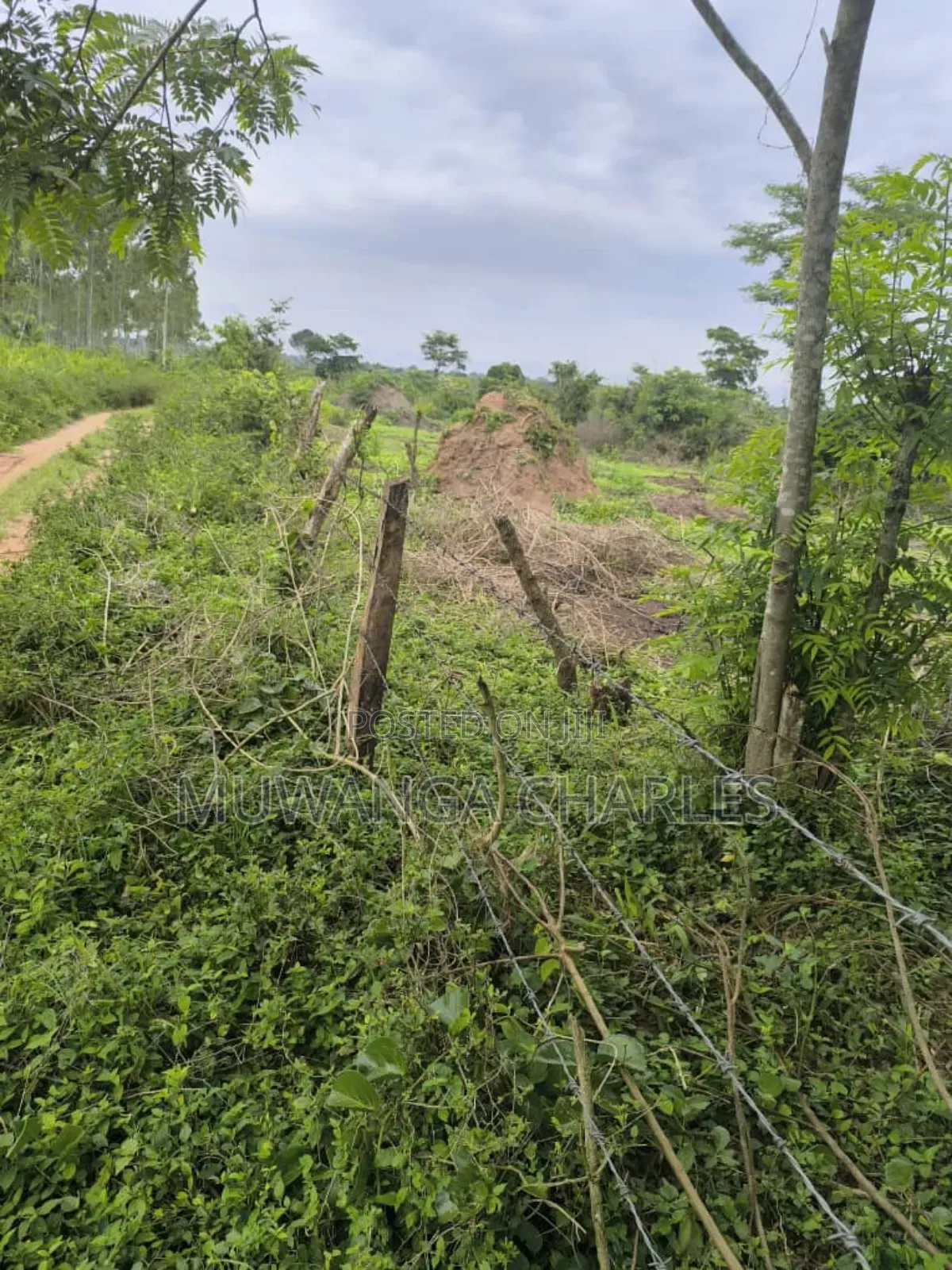 500acres Onon Sale in Nakasongola