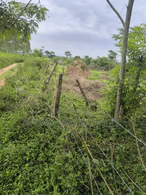 500acres Onon Sale in Nakasongola