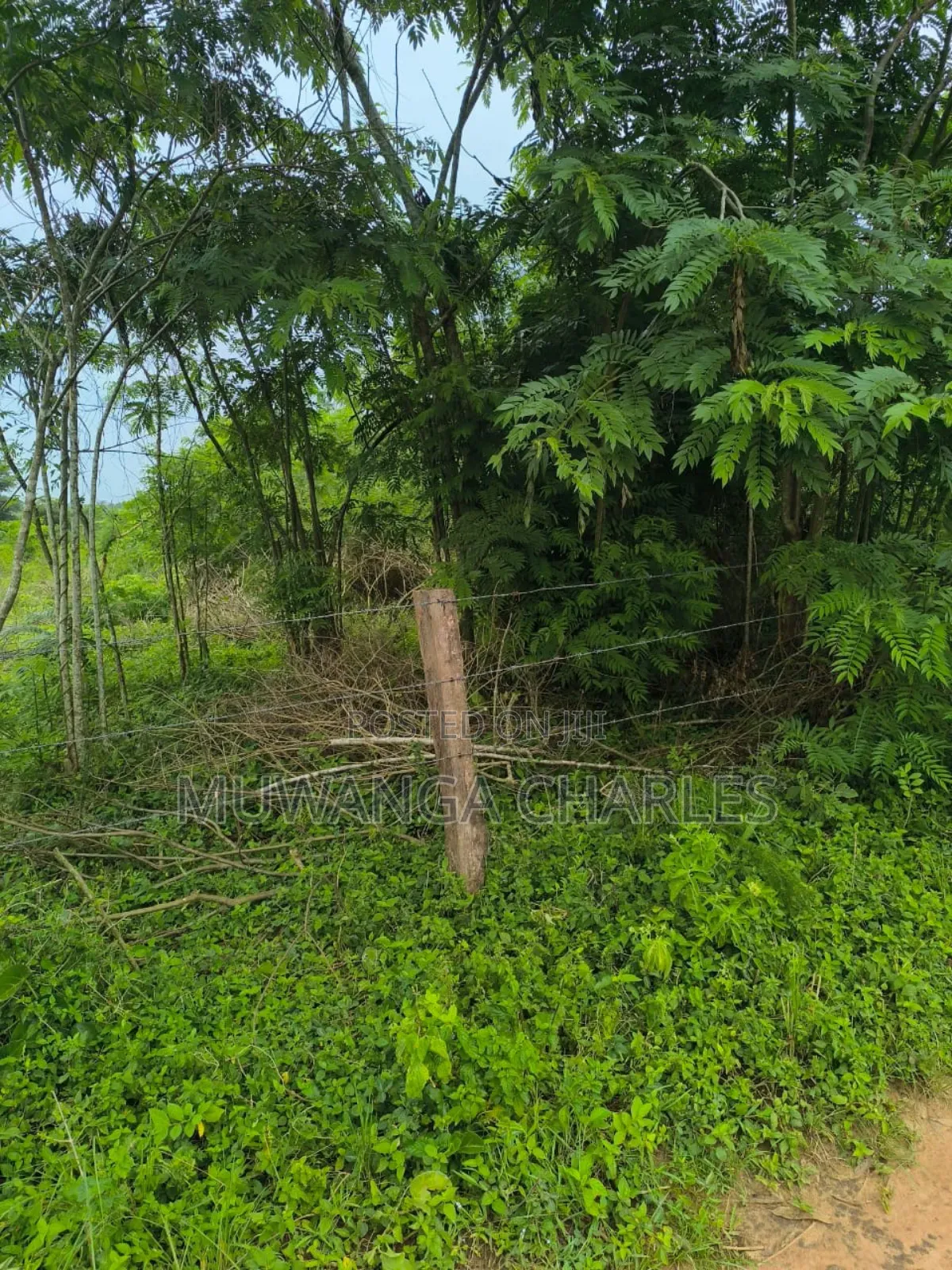 500acres Onon Sale in Nakasongola