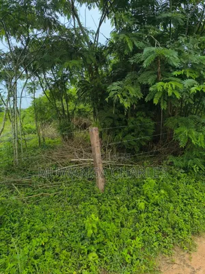 500acres Onon Sale in Nakasongola