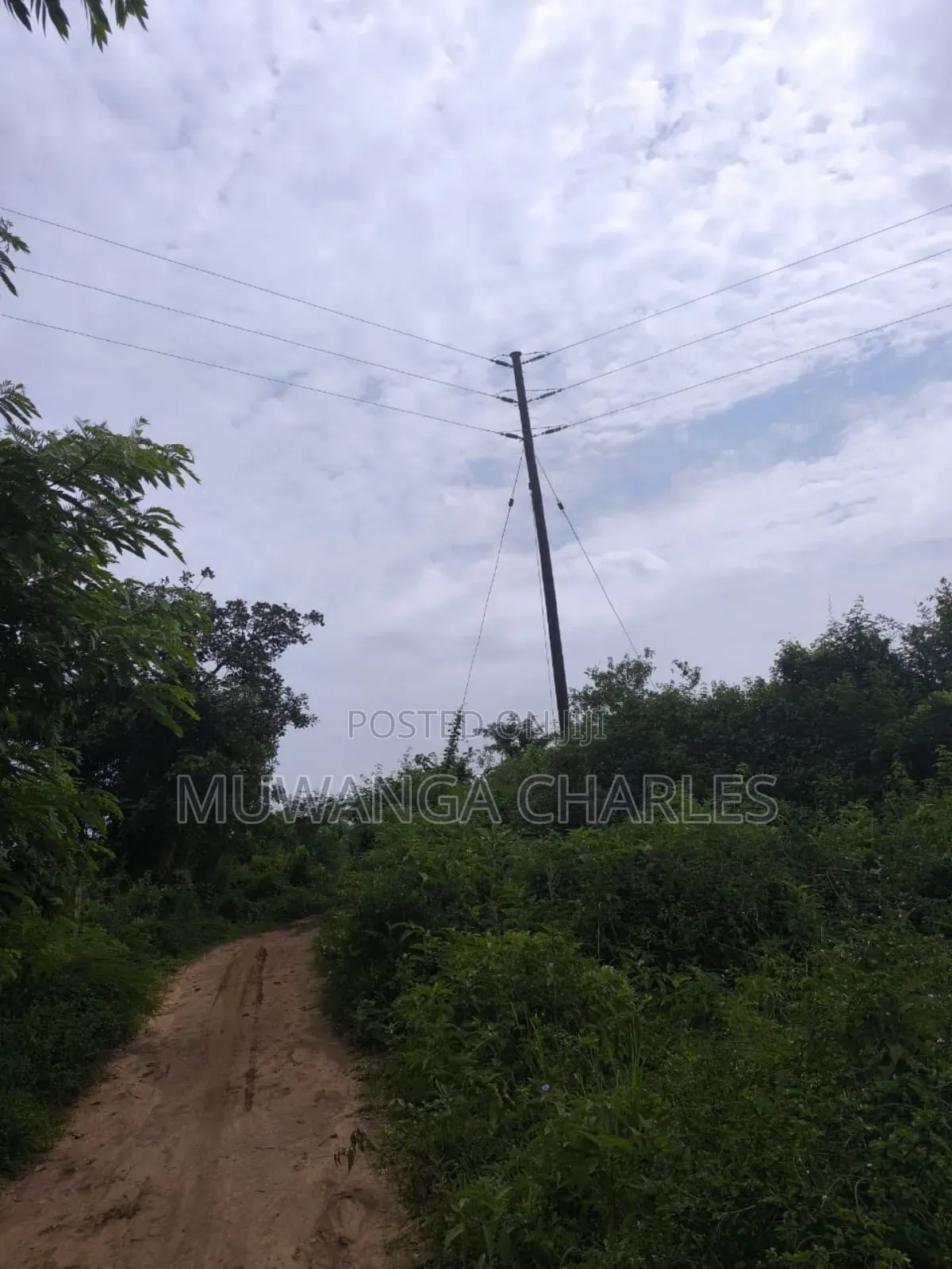 500acres Onon Sale in Nakasongola