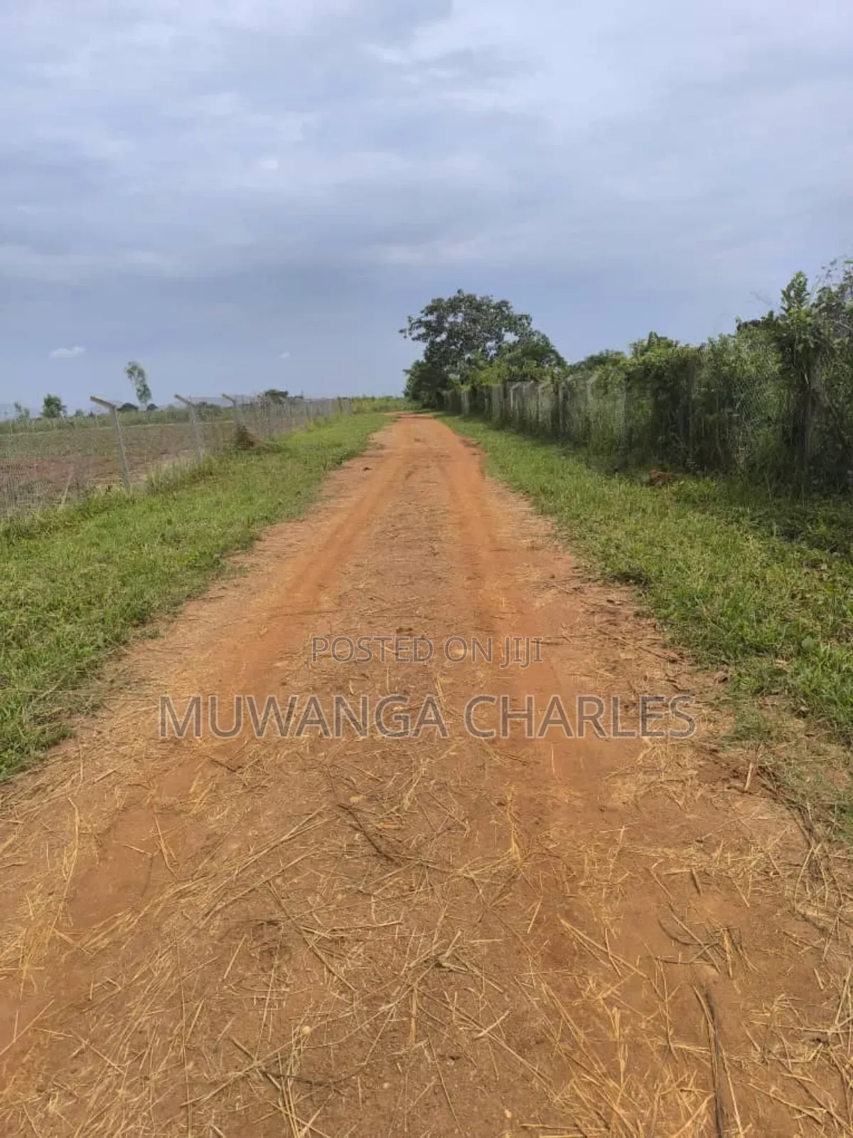 500acres Onon Sale in Nakasongola