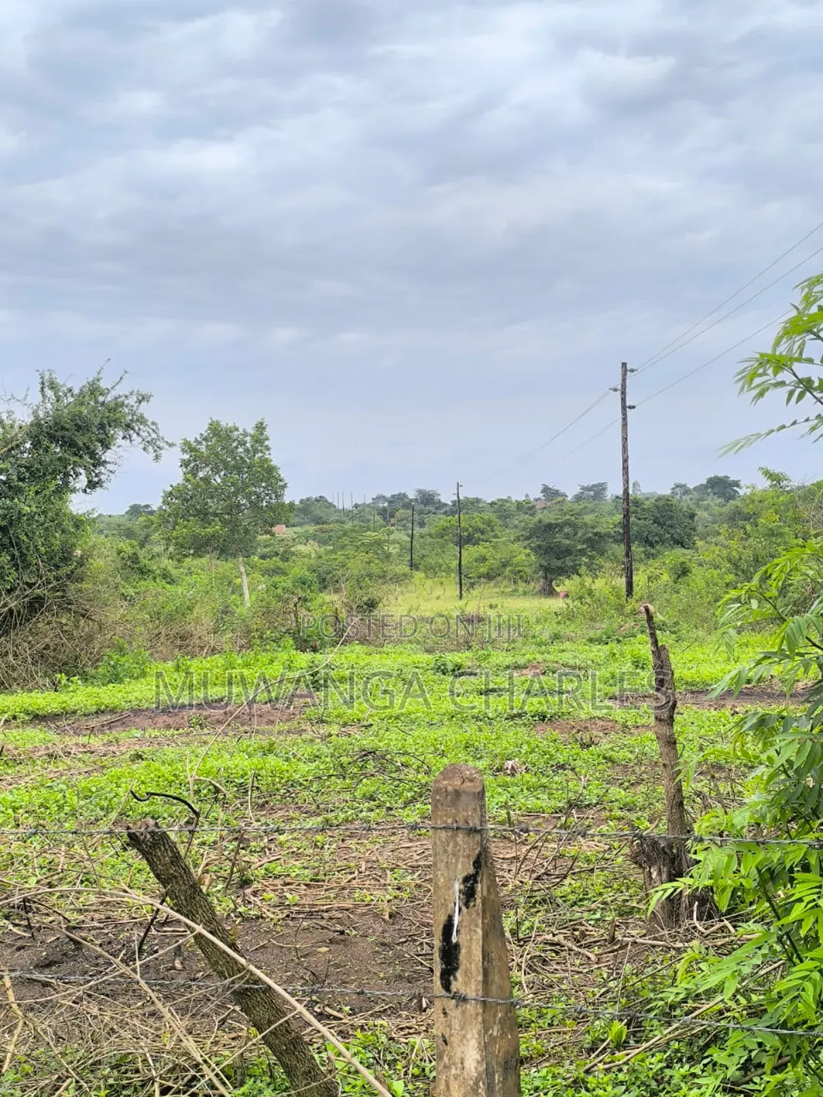 500acres Onon Sale in Nakasongola