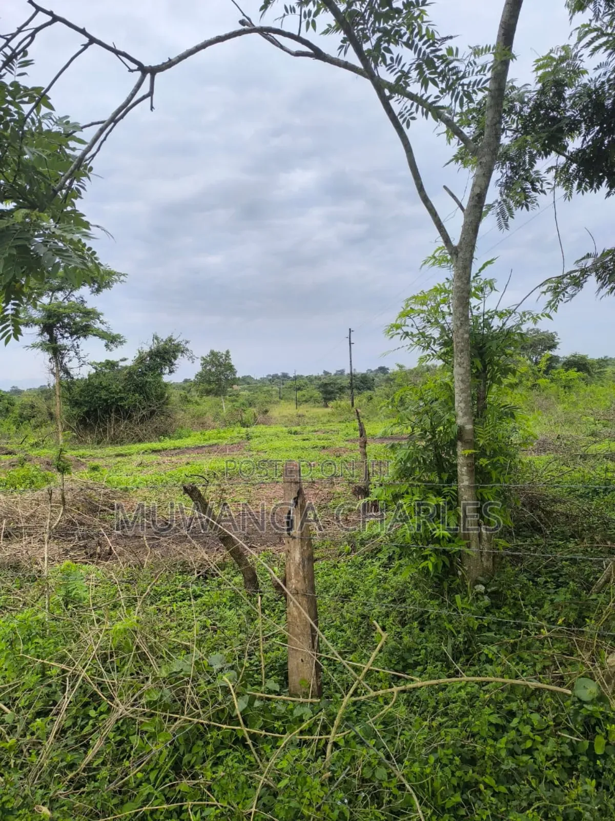 500acres Onon Sale in Nakasongola
