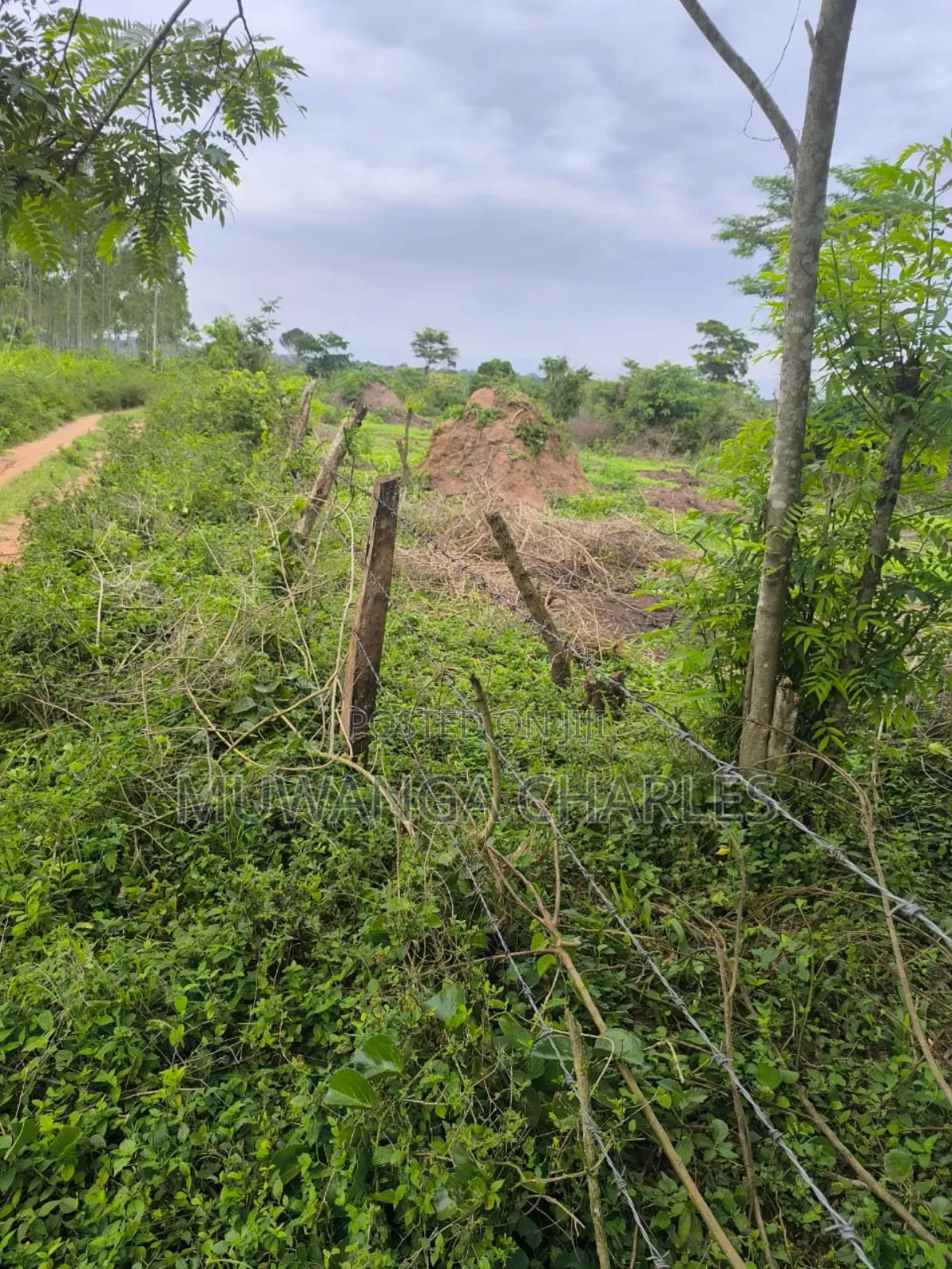 500acres Onon Sale in Nakasongola