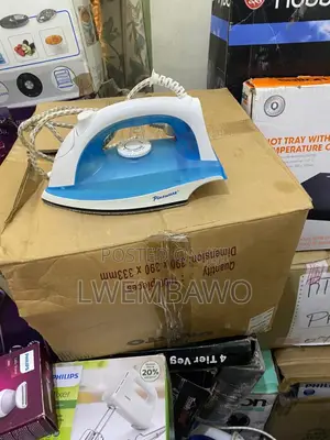 Steam Flat Iron