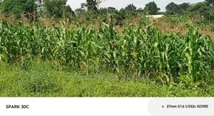 Land for Sale in Wabutungulu