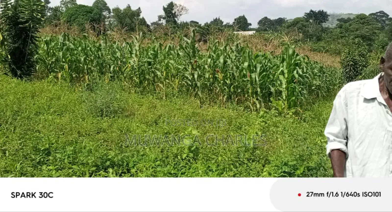 Land for Sale in Wabutungulu