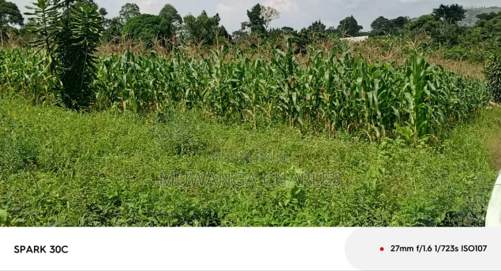 Land for Sale in Wabutungulu