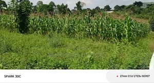 Land for Sale in Wabutungulu
