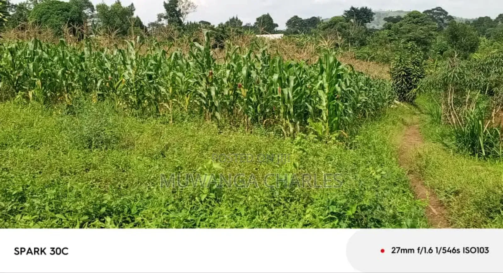 Land for Sale in Wabutungulu