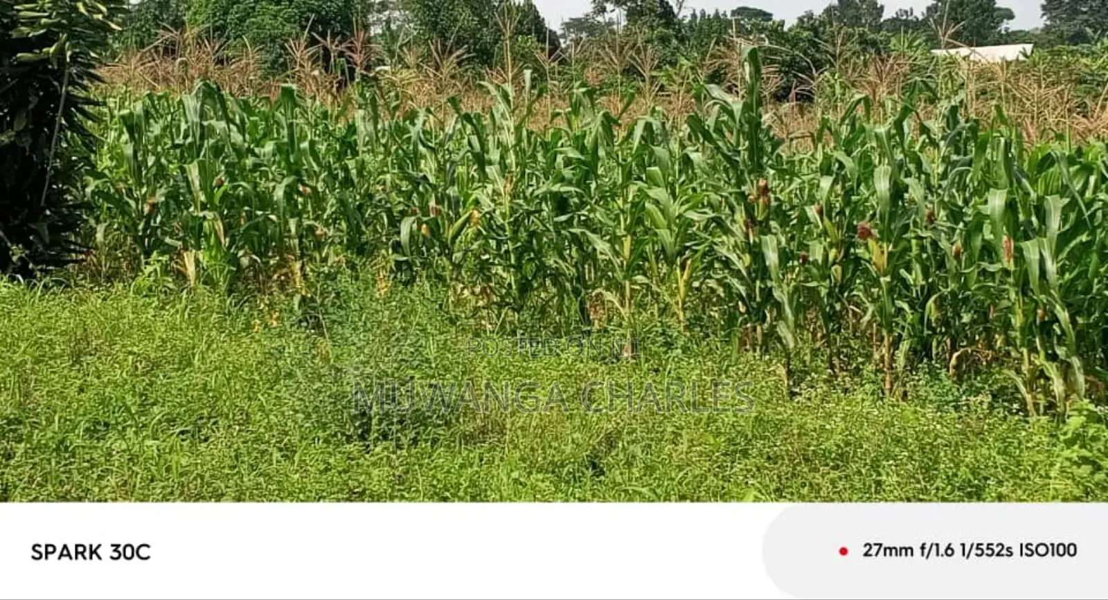 Land for Sale in Wabutungulu