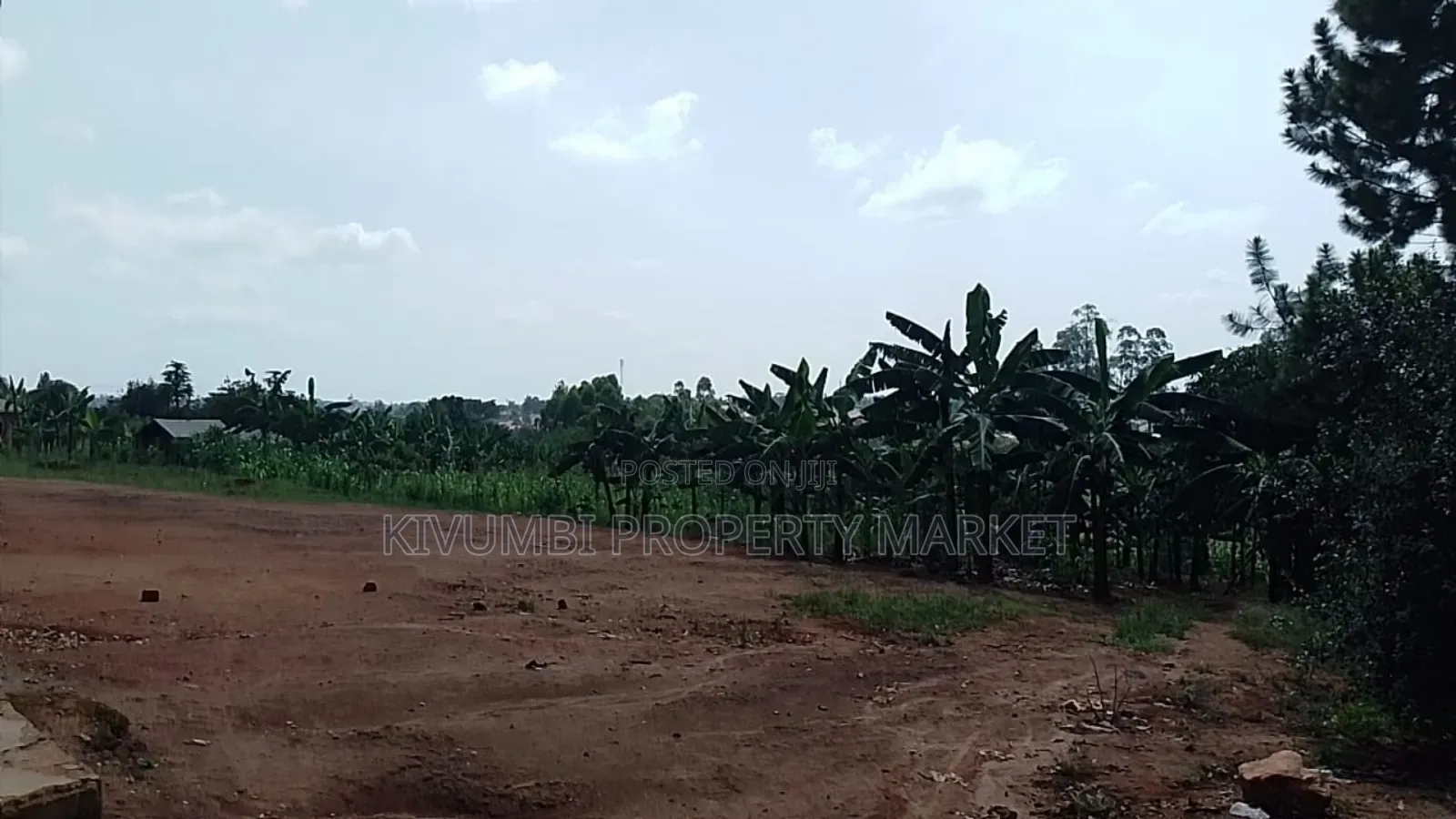 12decimals Land for Sale at Namawojjolo Near the Market.