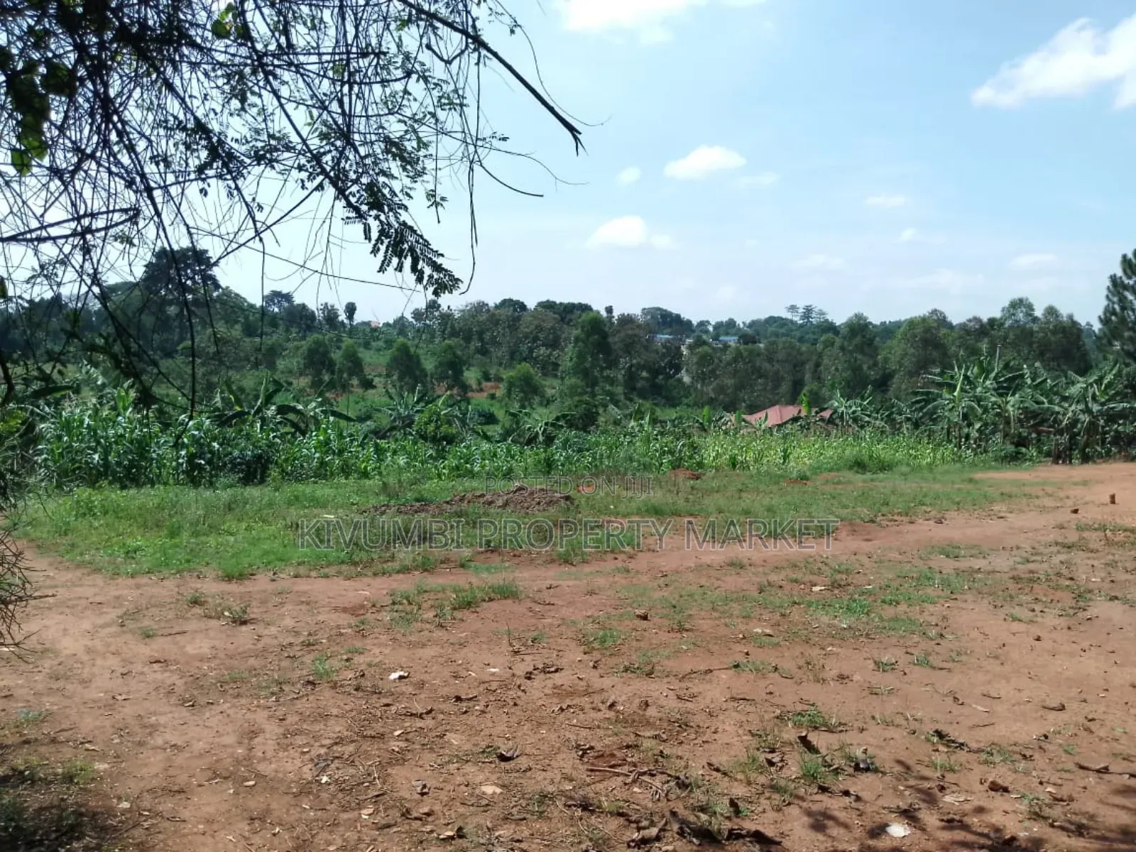 12decimals Land for Sale at Namawojjolo Near the Market.