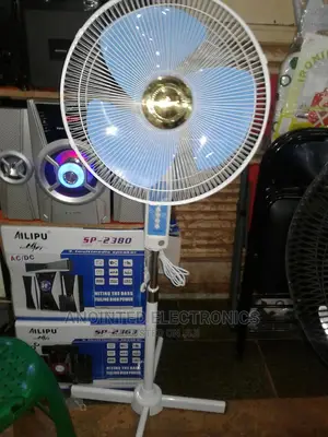 Evanel Stand Fan