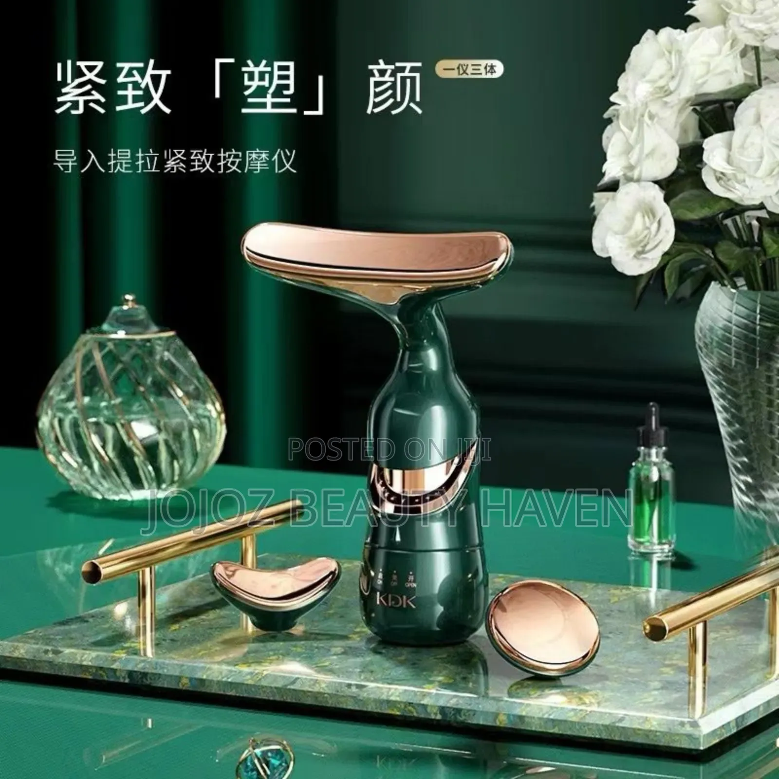 Electric Facial Massager
