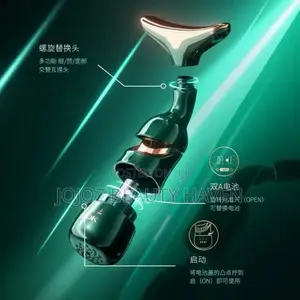 Electric Facial Massager