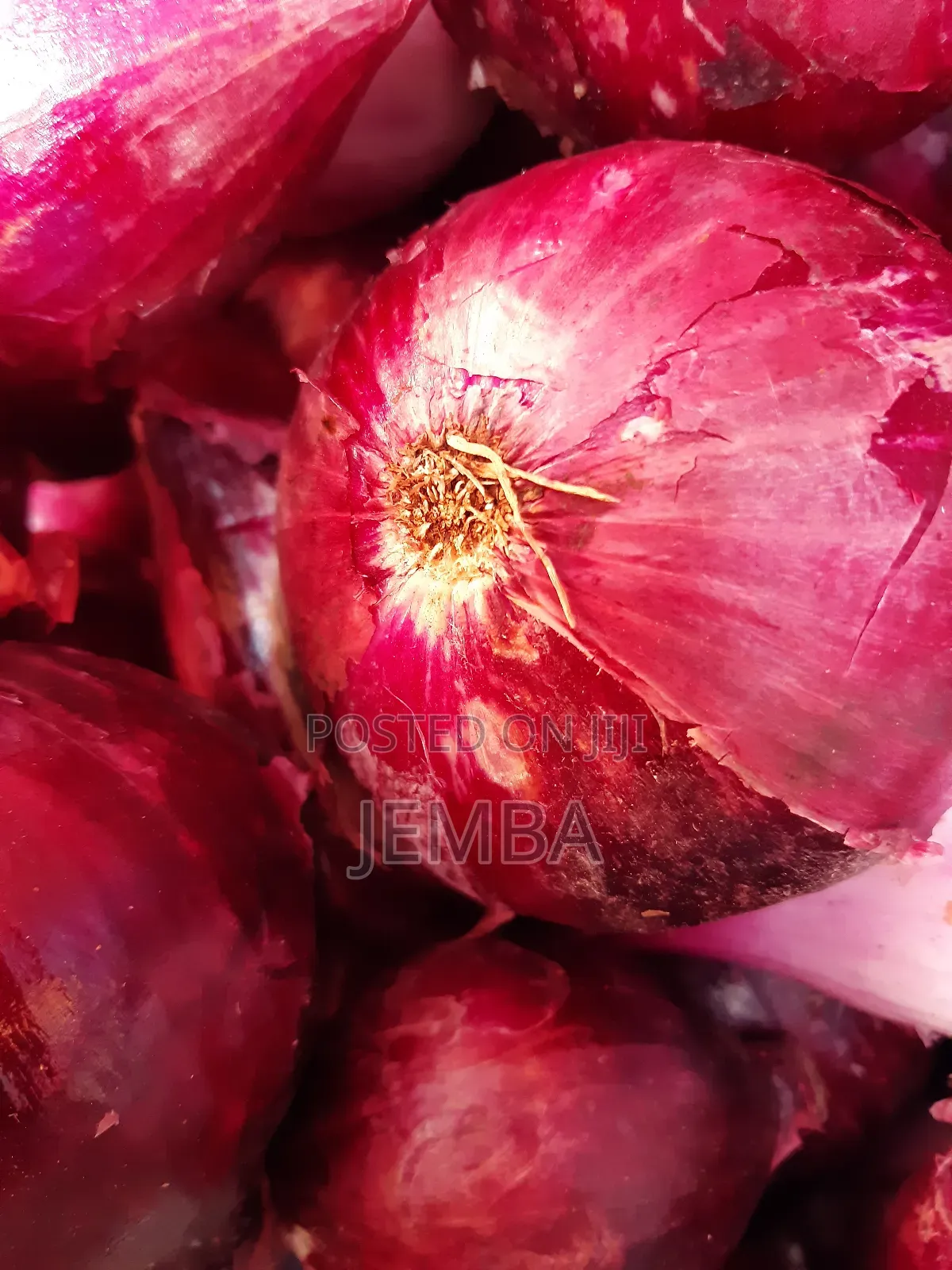 Dry Onions