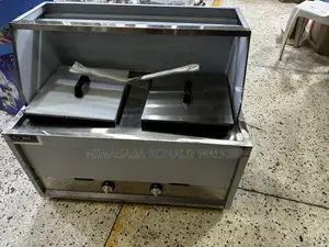 25l Dual (12.5l + 12.5l) Commercial Gas Deep Fryer