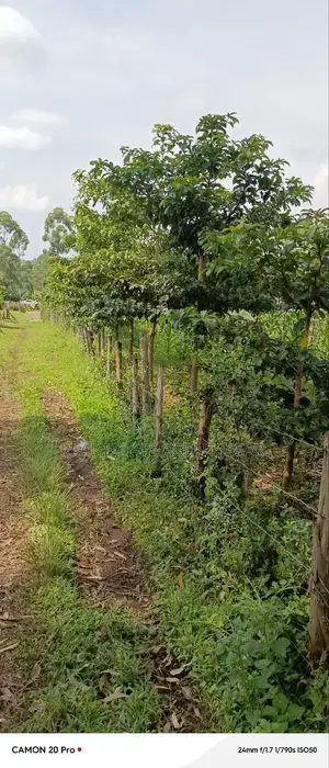 10 Acres of Freehold Titled Land for Sale in Fort Portal City.