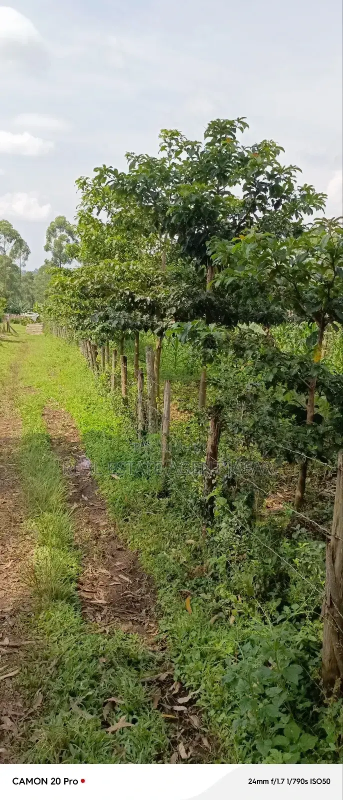 10 Acres of Freehold Titled Land for Sale in Fort Portal City.