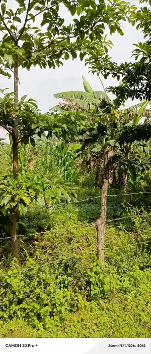 10 Acres of Freehold Titled Land for Sale in Fort Portal City.