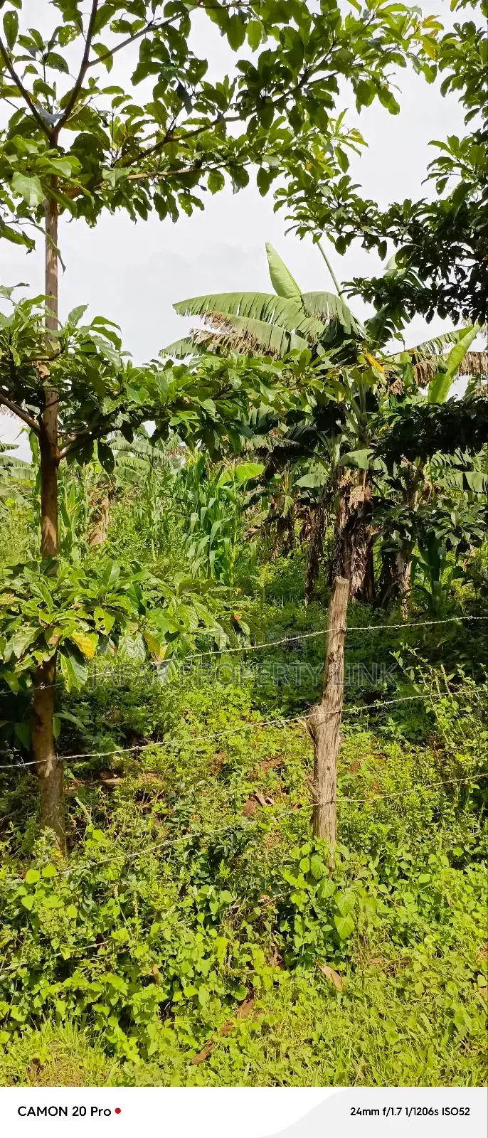 10 Acres of Freehold Titled Land for Sale in Fort Portal City.