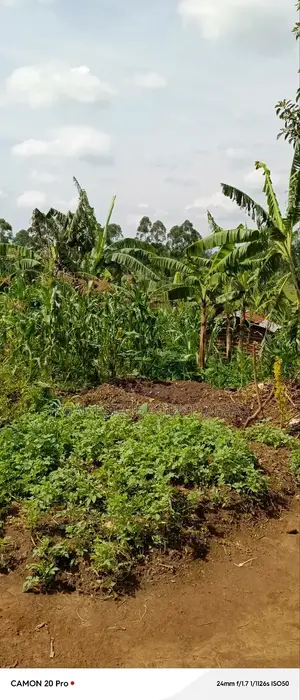 10 Acres of Freehold Titled Land for Sale in Fort Portal City.