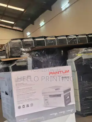 Pantum M6559nw Office Setup Printer