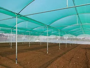 [ 70% ] 3x50 Meters Green Shades Nets