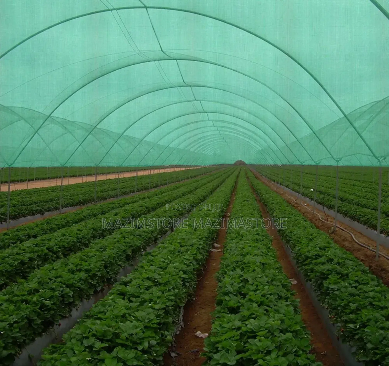 [ 70% ] 3x50 Meters Green Shades Nets