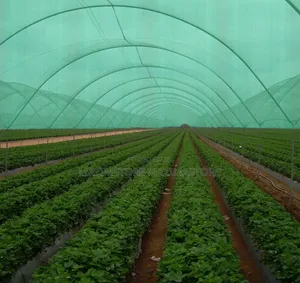 [ 70% ] 3x50 Meters Green Shades Nets