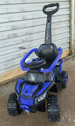 Blue Whale Rechargeable Bike