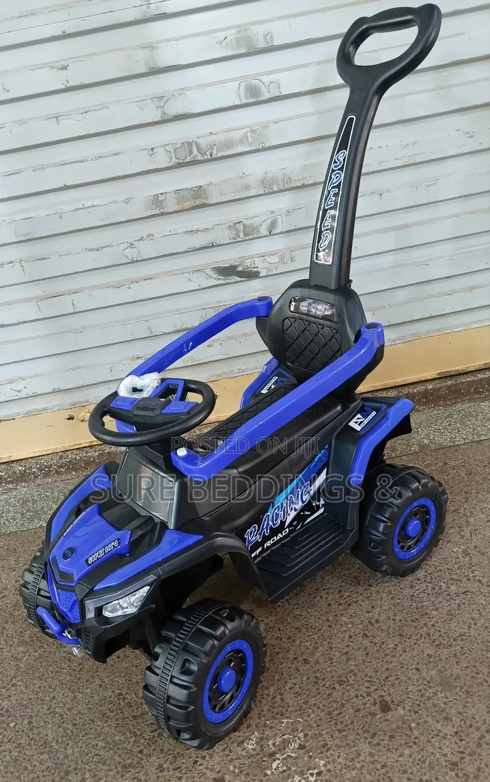 Blue Whale Rechargeable Bike