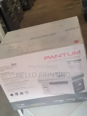 Pantum M6559nw Monthly Printing.