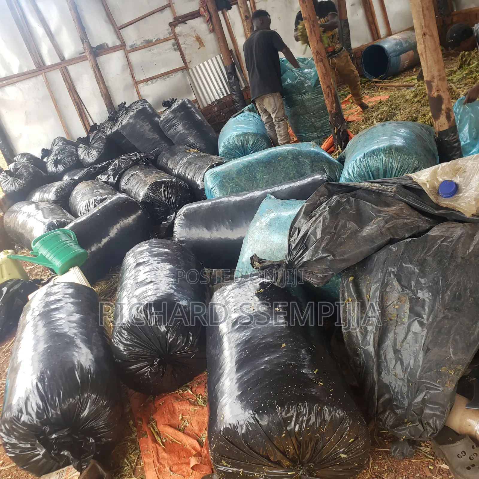 Silage Are Available